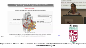 ECUE-PHG-Schuster_20250909.m4v