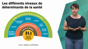Envi-H : Les déterminants de santé - Severine Blanchis