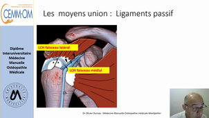 Anatomie de l'épaule