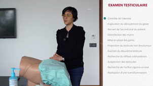 MOCKUP GESTE - Examen testiculaire