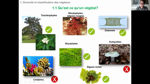 CM2 HLBE101 morpho anat des plantes Partie 1