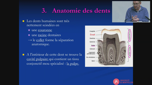 UE9 - Egea - 05/03/2026