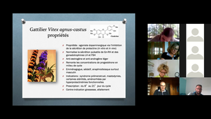 Cours Gyneco JM Morel