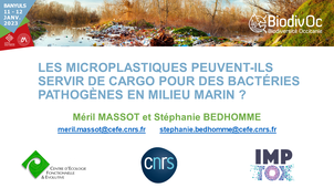 Méril MASSOT et Stéphanie BEDHOMME - microplastiques cargo pathogènes