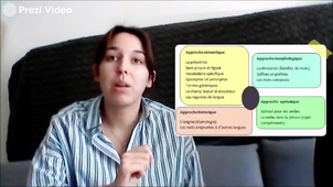 Capsule vidéo exemple 1