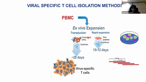 Bioproduction de lymphocytes cytotoxiques viro-spécifiques pour une immunothérapie_Danièle BENSOUSSAN