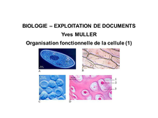 BIOLOGIE - EXPLOITATION DE DOCUMENTS :  Organisation fonctionnelle de la cellule - 1ère Partie 'La diversité des cellules'
