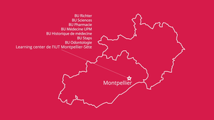 Carte animée du réseau des BU