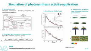 HBMA312 - Modélisation du fonctionnement des plantes. Des modèles crop au FSPM - part 2