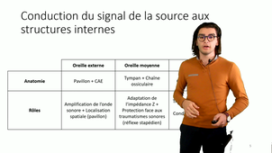transmission et perception d'un signal sonore