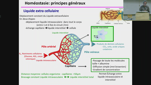 ECUE PHG - Pr.Matecki - 01/09/26