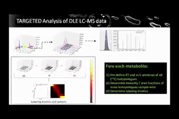DynaMet, a fully automated pipeline for dynamic LC-MS data