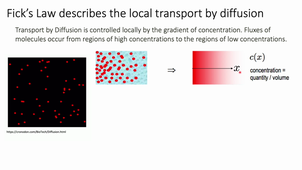 Oxygen transport_part 2