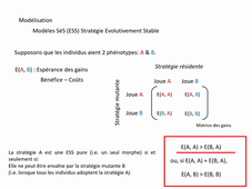 CM1-EvolutionPhenotypique