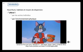 HLBE304-Cours 1
