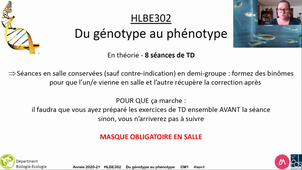HLBE302-vidéoAmphi1.1