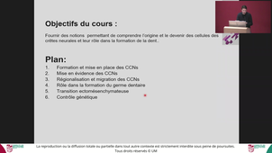 Pass UE9 Massif cranio facial : structures et fonctions - Pr.COLLART DUTILLEUL - 10/02/26