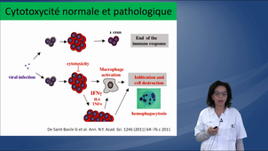 Module4_KONE-PAUT
