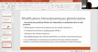 11-05-221-DFGSM2-O Moranne-Cm19-Reins