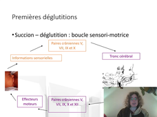 capacités alimentaires enfant