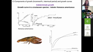 Growth and Molting