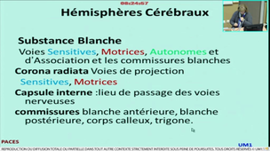 Anatomie générale et morphologique des organes des sens
