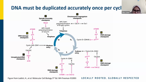 TU03 - CELL CYCLE - Saihas Suhda - 01-12-2025.mp4