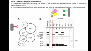 S1 PACES UE2 Cornillot, ED cytosquelette 21/09/2020