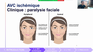 Mercredi 9/11:17h-19h : cours du Dr Villessot