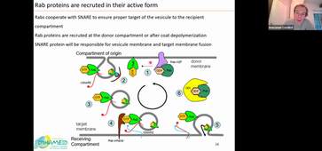 TU03 - VESICULAR FLUX ENDOMEMBRANE SYSTEM - E.Cornillot - 18-11-25.mp4