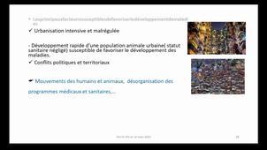 DIU 2021-2022 Yaghouba KANE.mp4