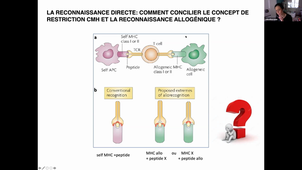 Syndromes lymphoprolifératifs/réactions allogénique en transplantation et greffe de CSH - C. Thevenin