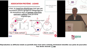 PASS_ECUE1--_Lehmann_20260922.m4v