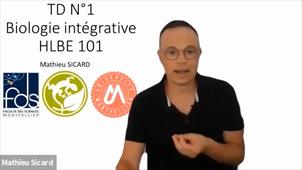 TDN°1HLBE101introduction
