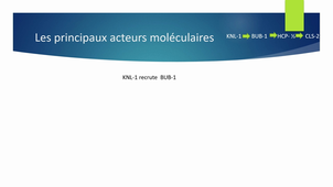 Articel Cell Cycle 2