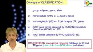 Immunoglobulins and T cell receptors T: IMGT® and the birth and rise of immunoinformatics