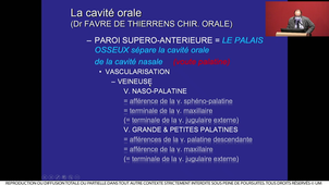 S2UE9_Favre_de_Thierrens_1_25022021