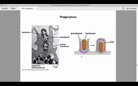 TD HLBI101 PA du 02_11_20