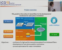 LABEX CheMiSyst Summer School - Presentation Flash - Sandrine PLUMEJEAU