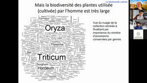 Cours Domestication Végétaux L3