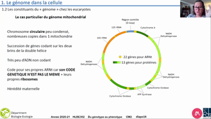 HLBE302-vidéoAmphi2.1