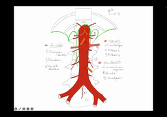 04-09-23-DFGSM3-Appareil cardiovasculaire-CM1 et 2-M Prudhomme.mp4