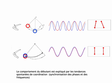 CM L1 STAPS UE23A (partie 4) Apprentissage et contrôle moteur - Didier Delignières