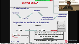 S1UE1_ECUE_1_2_LEHMANN_20092021