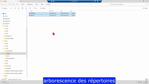 2025_DFASO2_préparations tissulaires.mp4