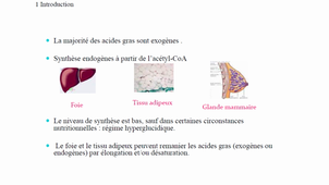 LES ACIDES GRAS SONORISE PART1