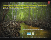 Journée Scientifique – AXE 3 LABEX CEMEB - Christophe Proisy (IRD-UMR-AMAP) 'Comprendre le fonctionnement des écosystèmes de mangrove'