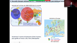 Greffe d’îlots de Langerhans et de cellules souches pour le traitement du diabète_Cristophe BROCA