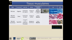 CM3 TN et TM Part2-Tissus animaux