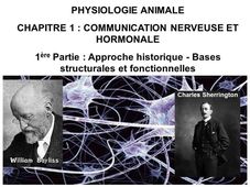 LICENCE DE BIOLOGIE Cours de Physiologie animale  CHAPITRE 1 : COMMUNICATION NERVEUSE ET HORMONALE  1ère Partie : Approche historique – Bases structurales et fonctionnelles